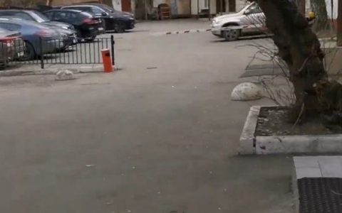 5285413735898410905